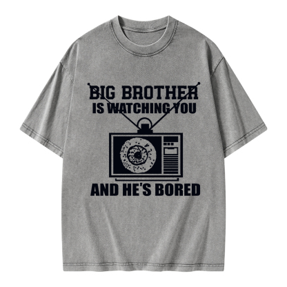 Pagewings Big Brother is Watching Unisex Washed T-shirt