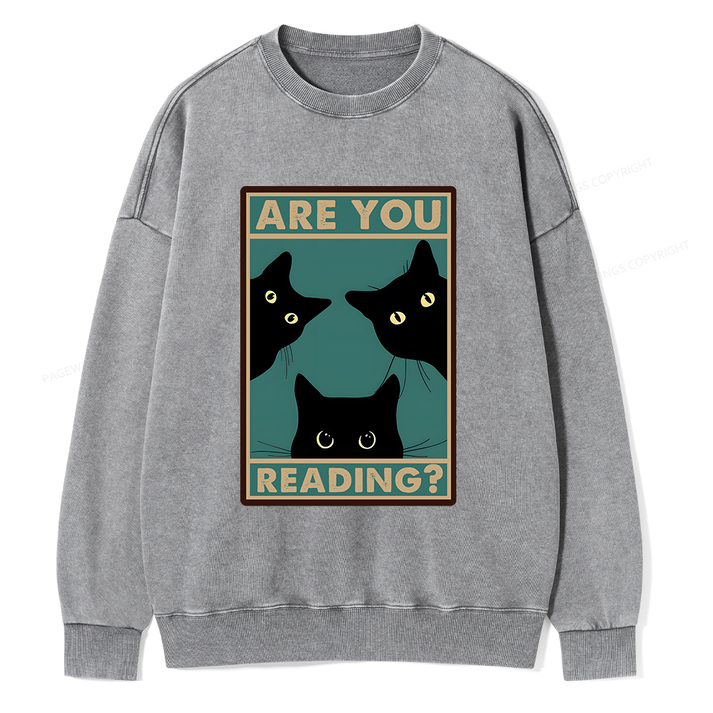 Pagewings Are You Reading Unisex Washed Sweatshirt