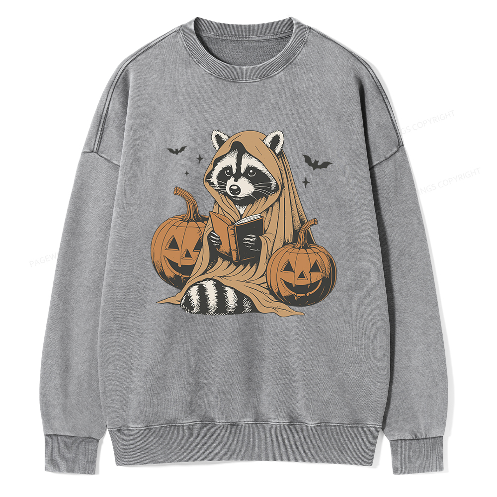 Pagewings Halloween Cute Raccoon Ghost Reading Unisex Washed Sweatshirt