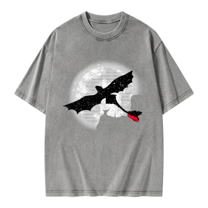 Pagewings Moonlight Dragon Rider Unisex Washed T-shirt
