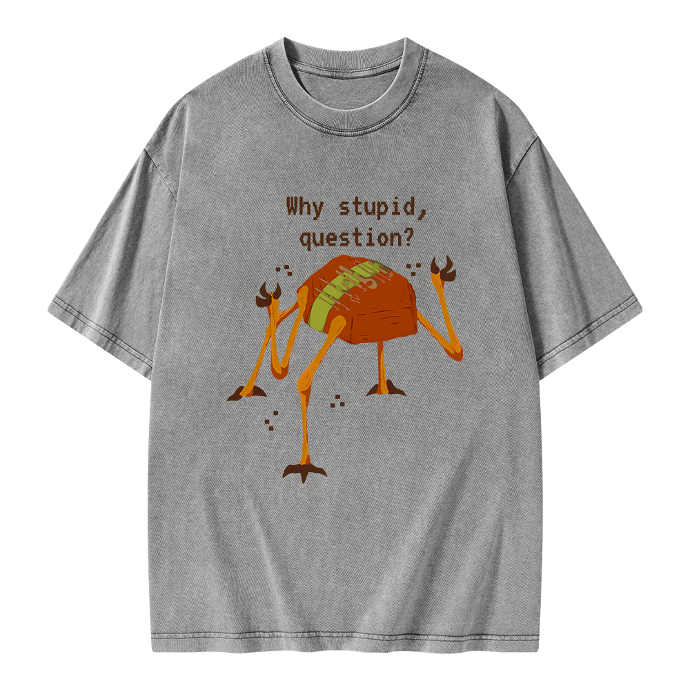 Pagewings Sci-Fi Why Stupid Question Unisex Washed T-shirt