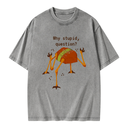 Pagewings Sci-Fi Why Stupid Question Unisex Washed T-shirt