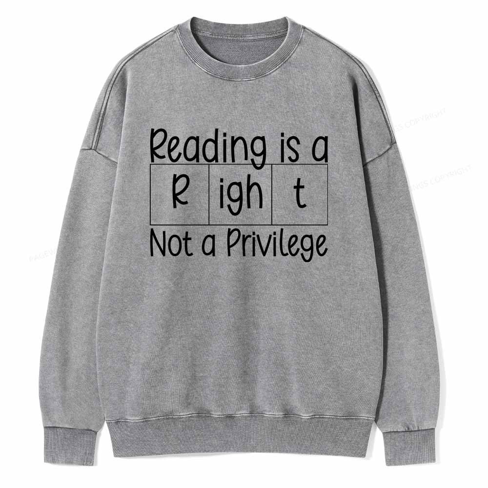 Pagewings Reading is a Right Not a Privilege Unisex Washed Sweatshirt