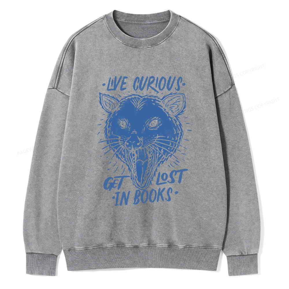 Pagewings Live Curious, Get Lost In Books Unisex Washed Sweatshirt