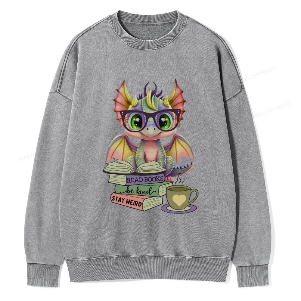 Pagewings Cute Dragon Reading Unisex Washed Sweatshirt