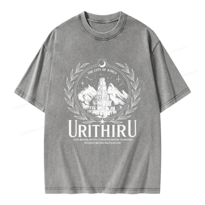 Pagewings Urithiru Unisex Washed T-shirt