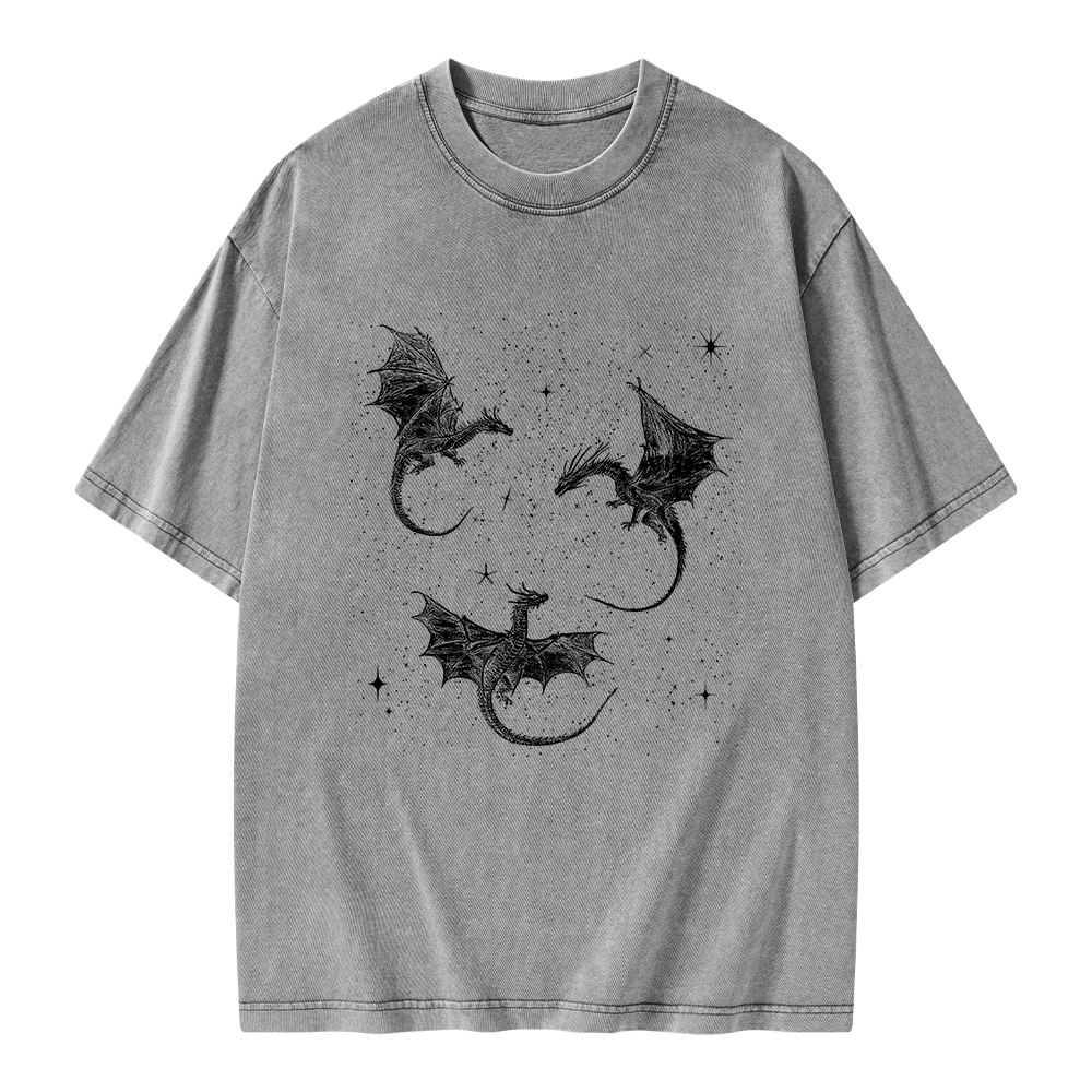Pagewings Dragon Fantasy Unisex Washed T-shirt