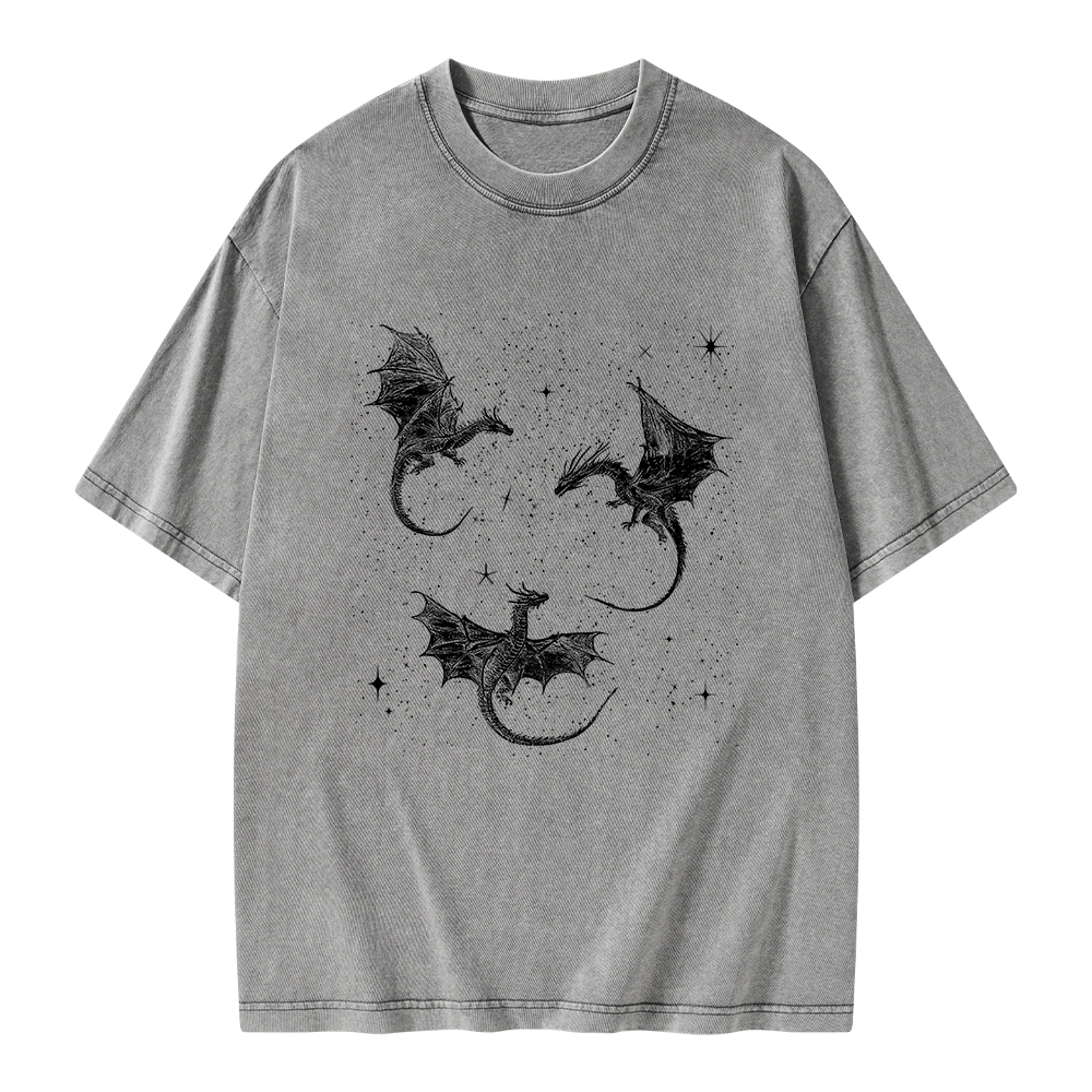 Pagewings Dragon Fantasy Unisex Washed T-shirt