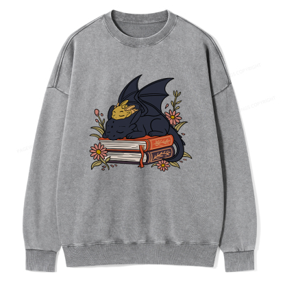 Pagewings Dragon Book Unisex Washed Sweatshirt