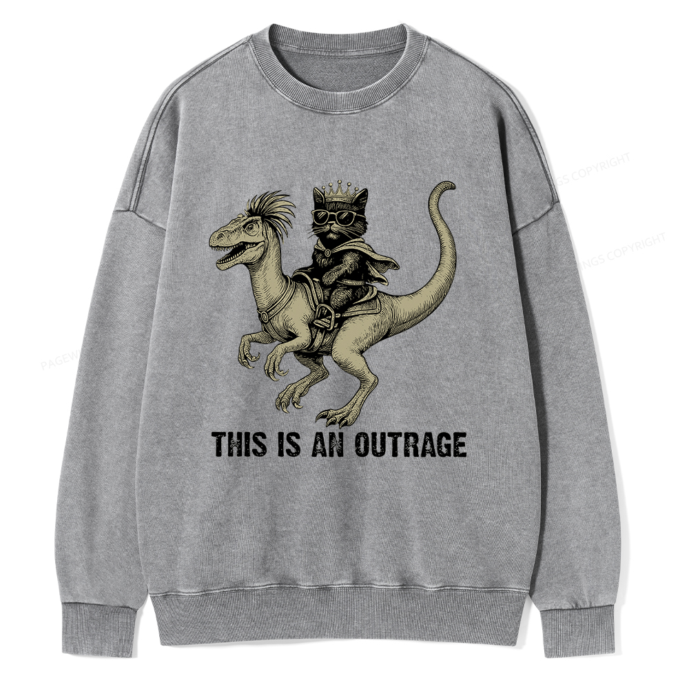 Pagewings Fantasy Book Reader Unisex Washed Sweatshirt