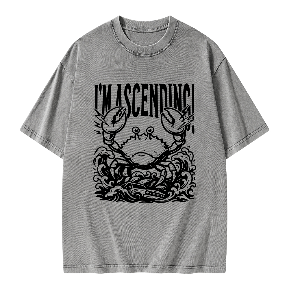 Pagewings I'm Ascending Vintage Unisex Washed T-shirt