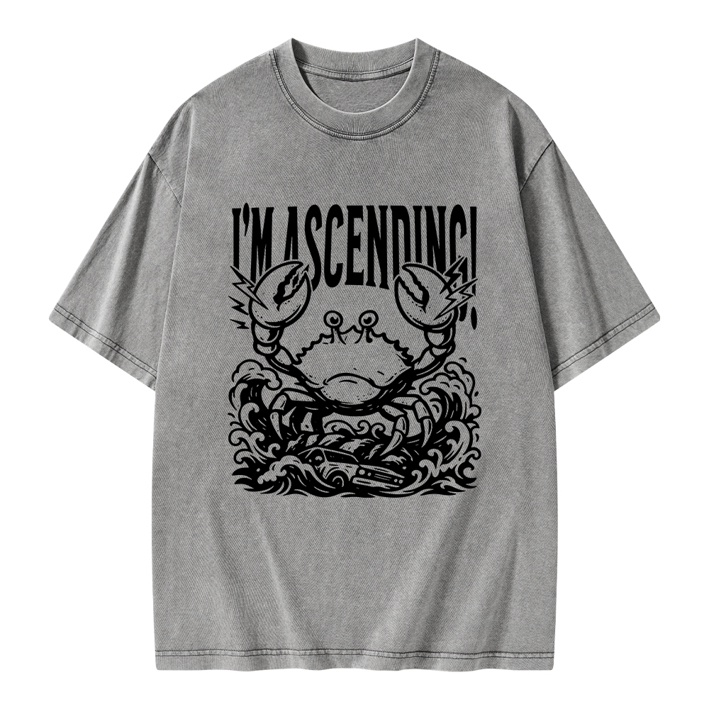 Pagewings I'm Ascending Vintage Unisex Washed T-shirt