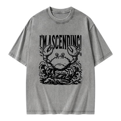 Pagewings I'm Ascending Vintage Unisex Washed T-shirt