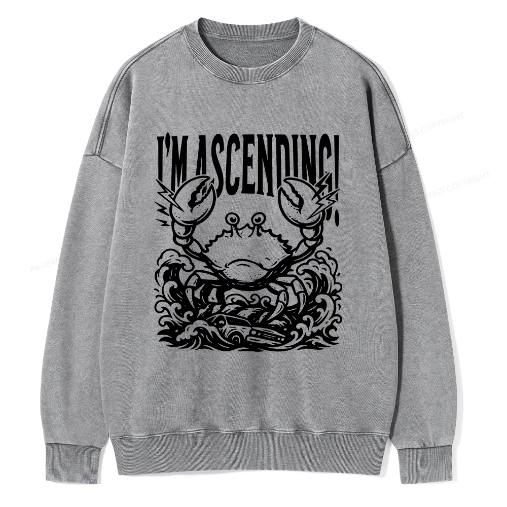 Pagewings I'm Ascending Vintage Unisex Washed Sweatshirt