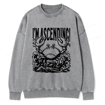 Pagewings I'm Ascending Vintage Unisex Washed Sweatshirt