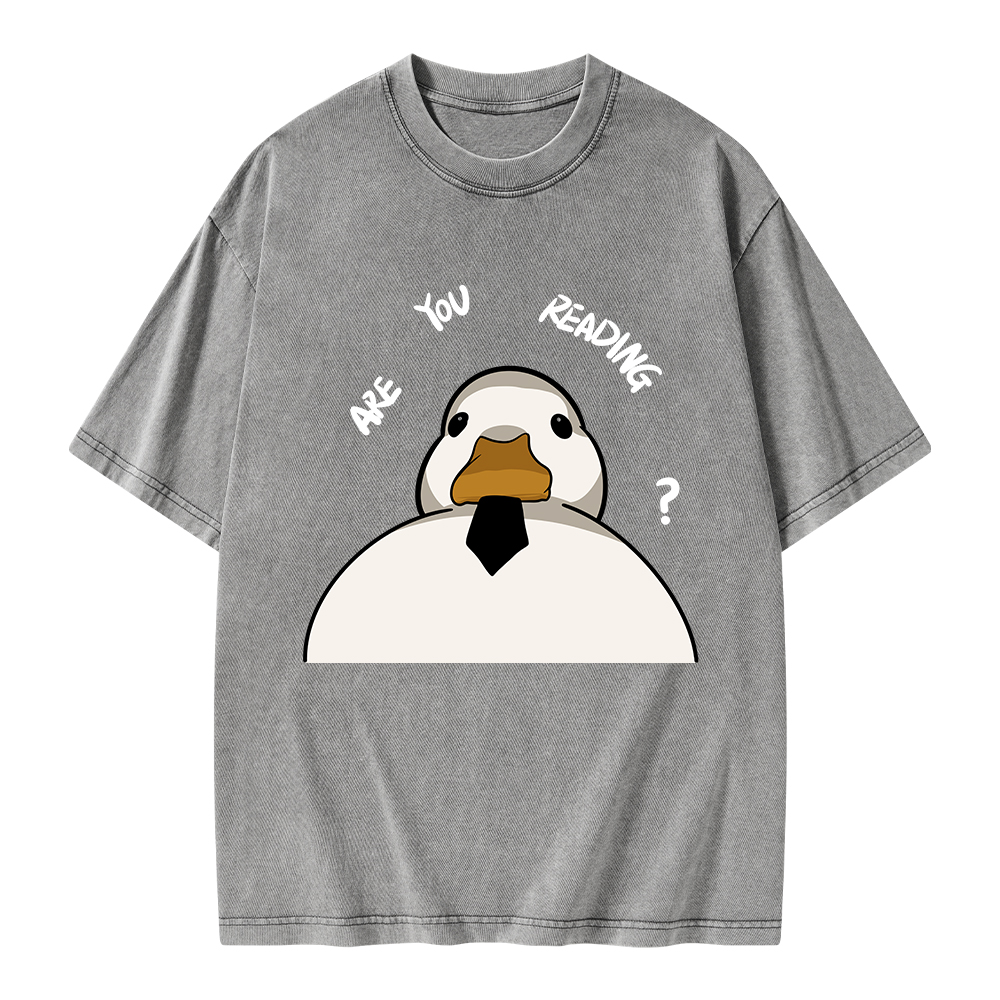 Pagewings Are You Reading Unisex Washed T-shirt