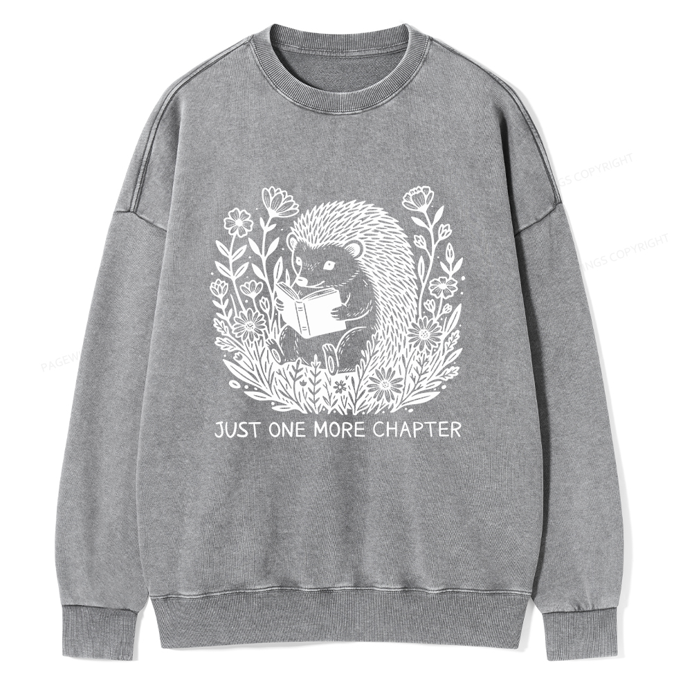 Pagewings Just One More Chapter Unisex Washed Sweatshirt