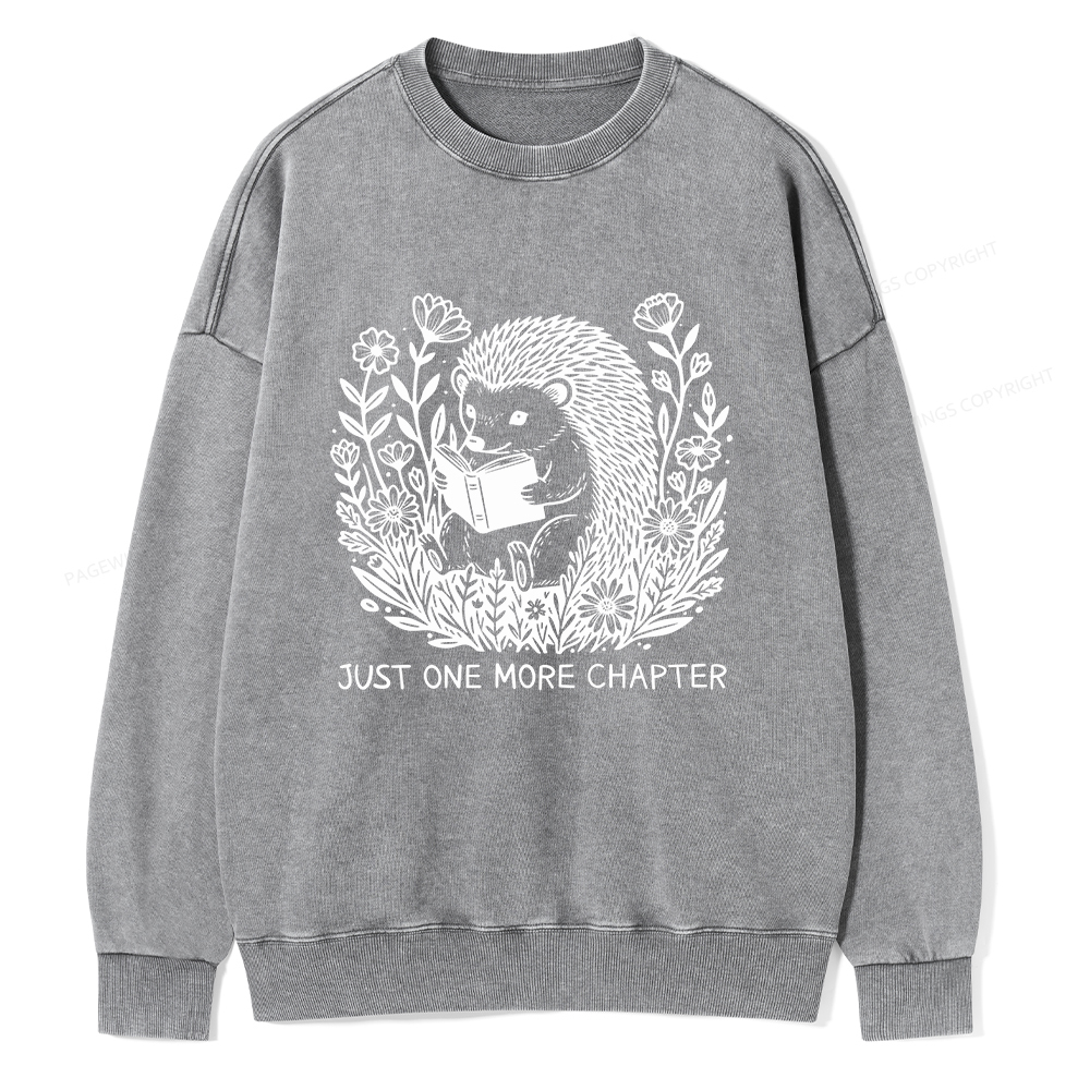 Pagewings Just One More Chapter Unisex Washed Sweatshirt