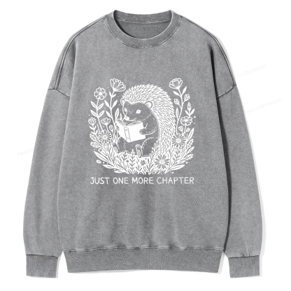 Pagewings Just One More Chapter Unisex Washed Sweatshirt