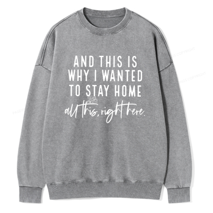 Pagewings And This Is Why I Wanted To Stay Home Unisex Washed Sweatshirt