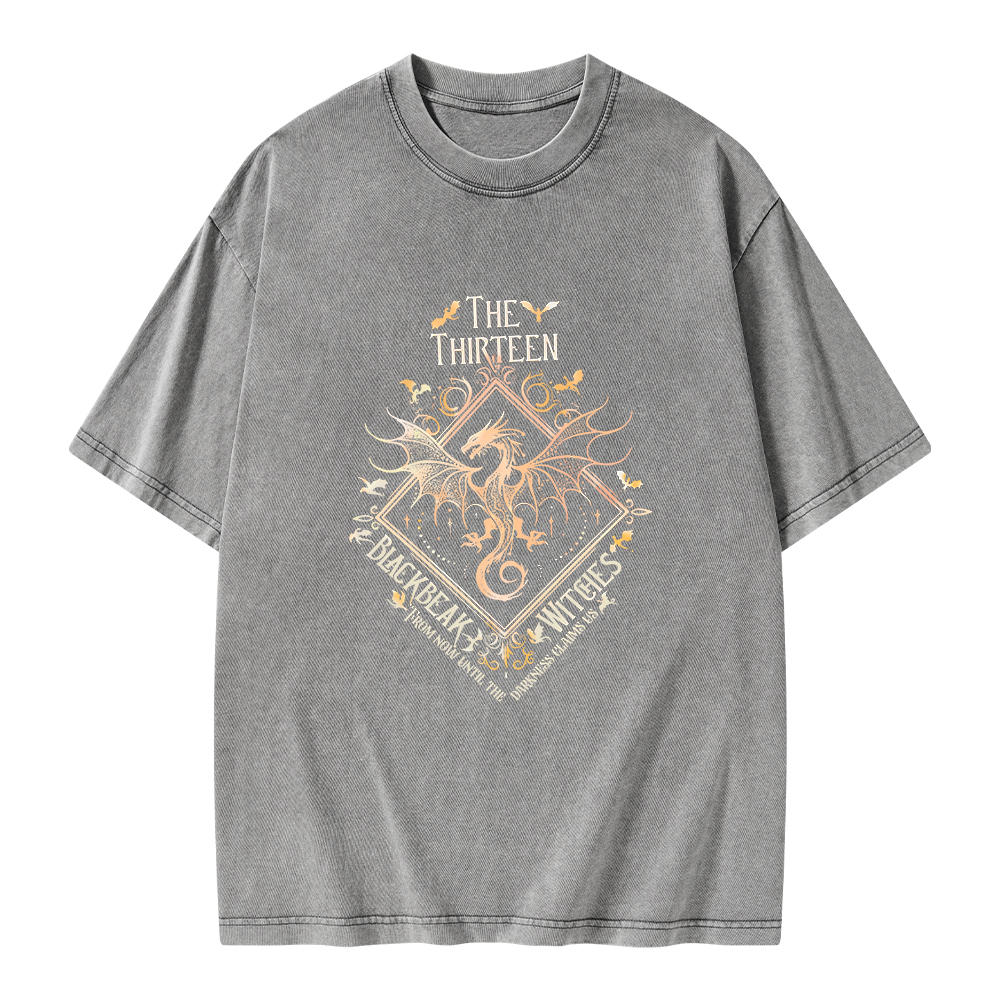 Pagewings The Thirteen Unisex Washed T-shirt
