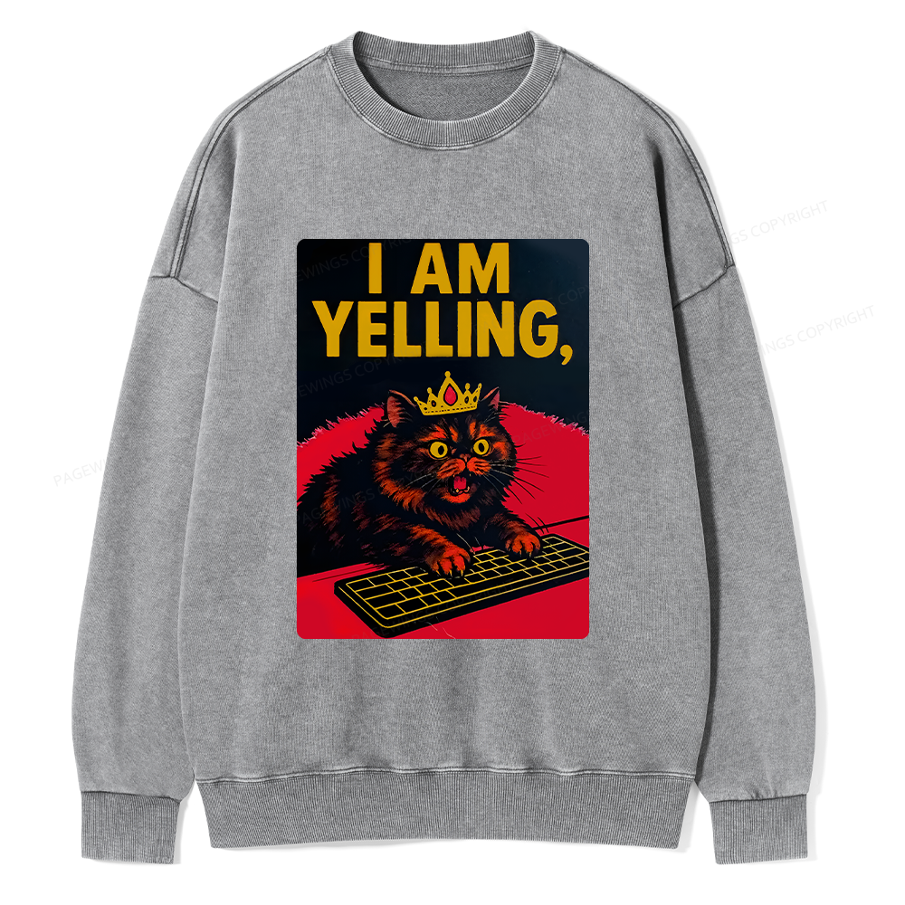 Pagewings Dungeon Crawler Carl Unisex Washed Sweatshirt