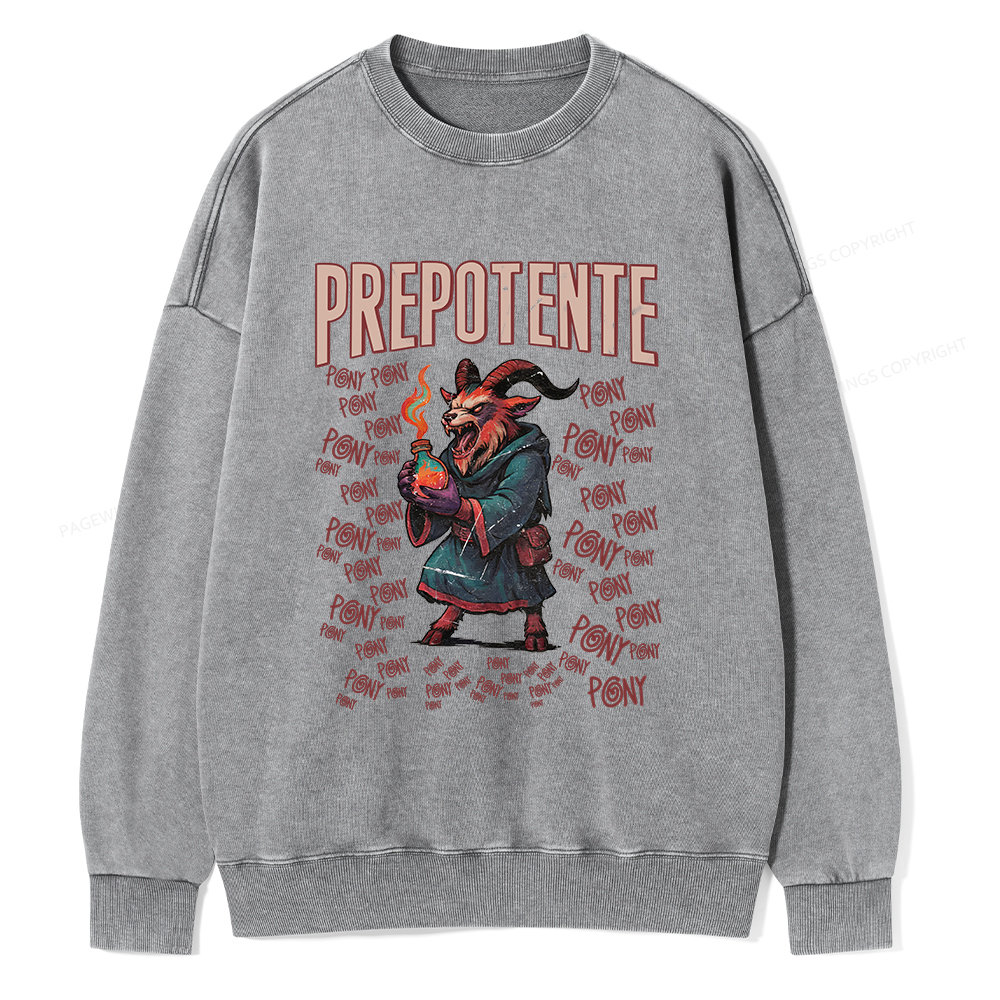 Pagewings Prepotente Unisex Washed Sweatshirt