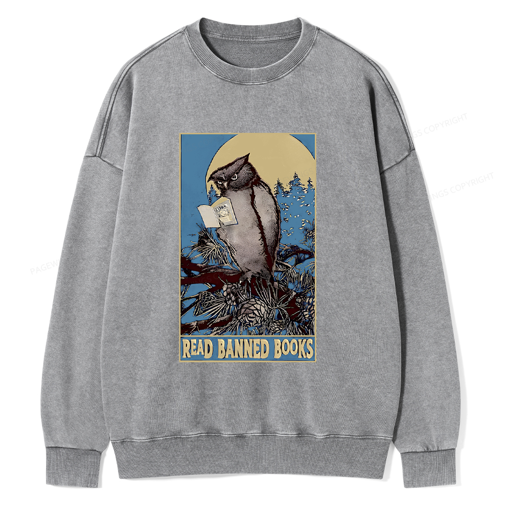Pagewings Owl Read Banned Books Washed Sweatshirt