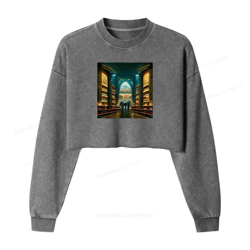 Pagewings Library Of Alexandria Premium Washed Crop Sweatshirt