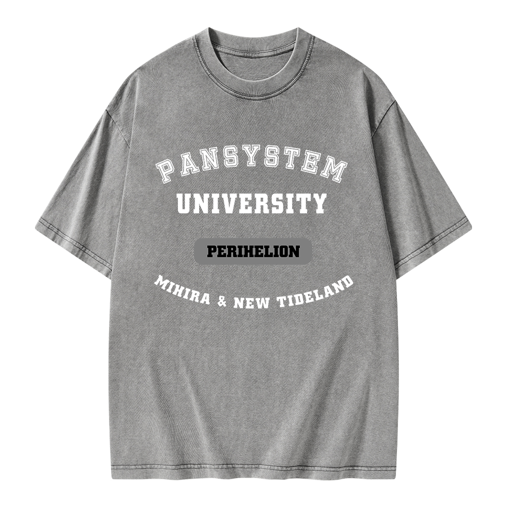 Pagewings Pansystem University Unisex Washed T-shirt
