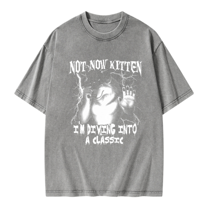 Pagewings Not Now Kitten I’m Diving Into A Classic Unisex Washed T-shirt