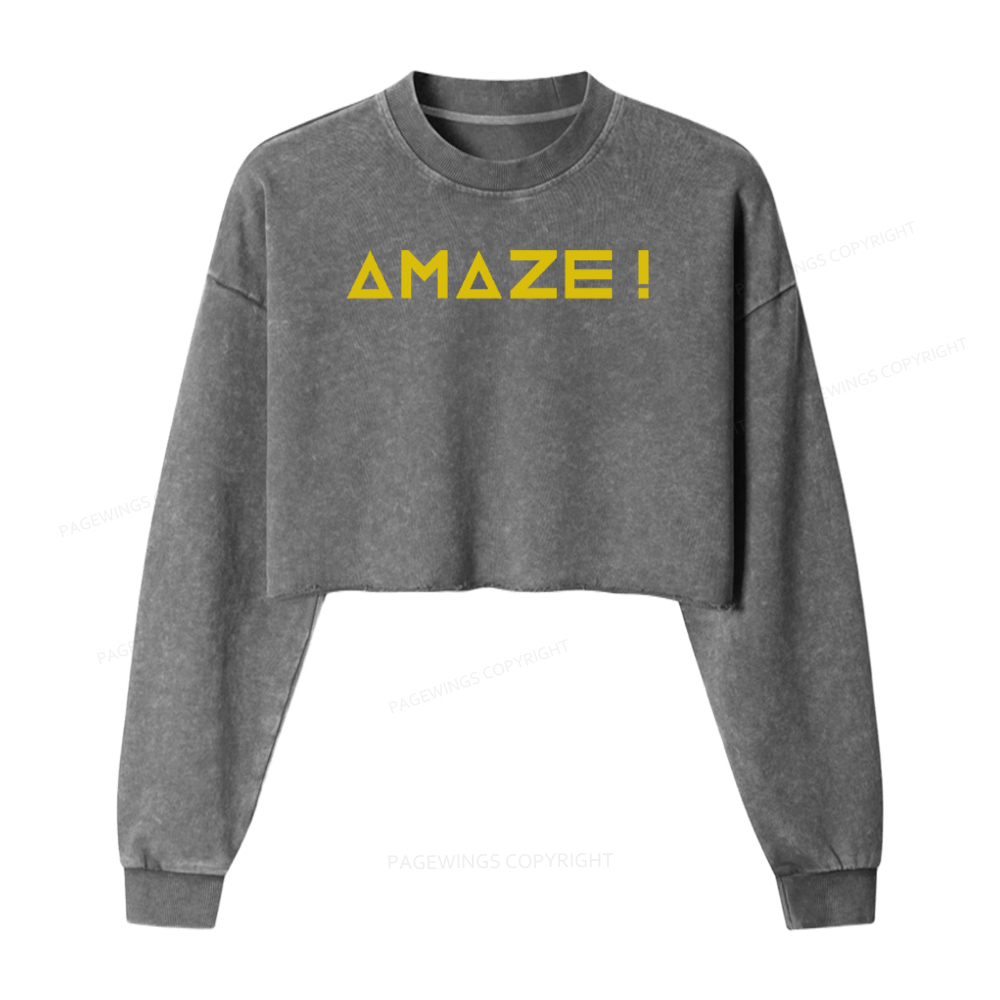 Pagewings Amaze Washed Crop Sweatshirt