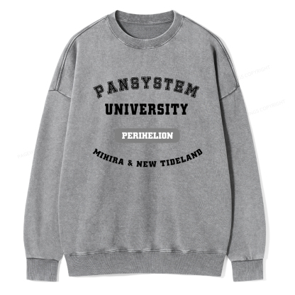 Pagewings Pansystem University Washed Sweatshirt