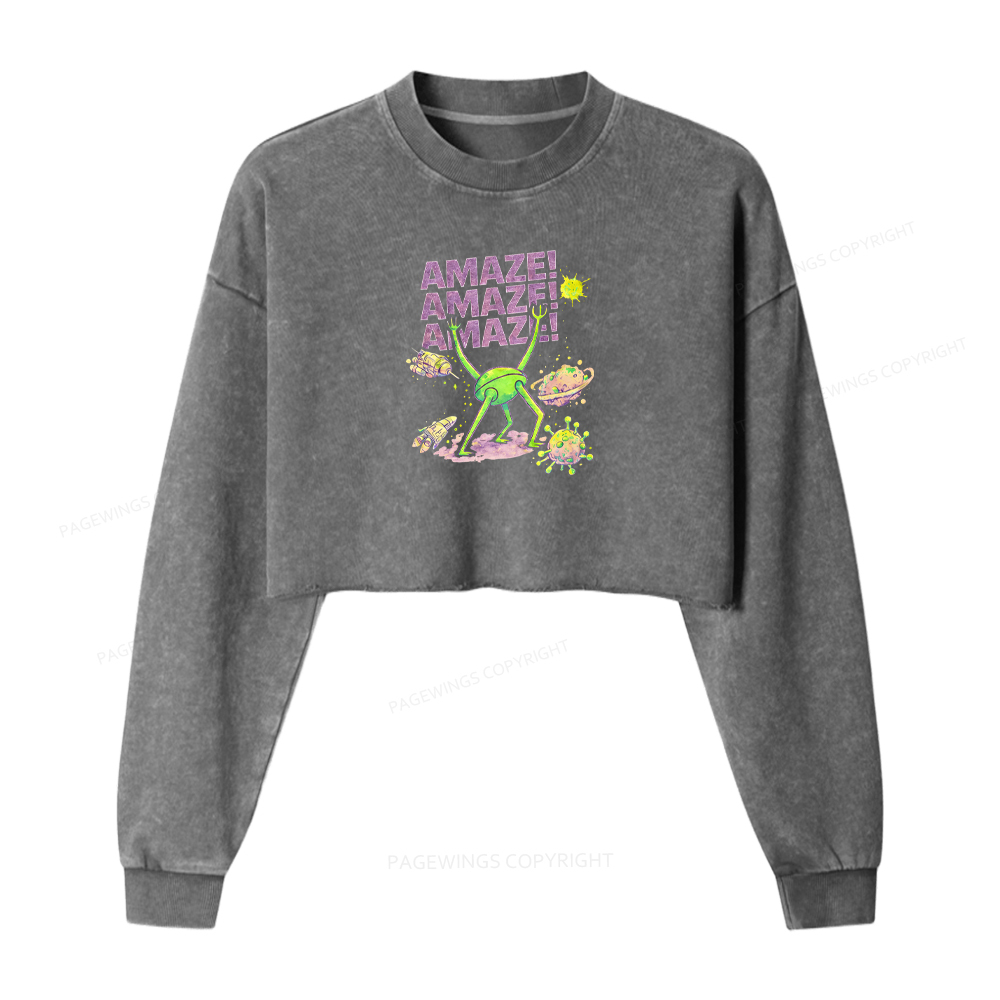 Pagewings Amaze Washed Crop Sweatshirt