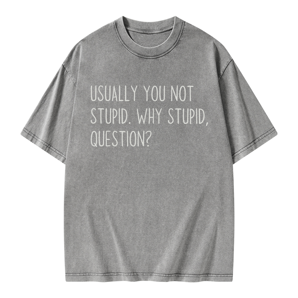 Pagewings Why Stupid Question Unisex Washed T-shirt
