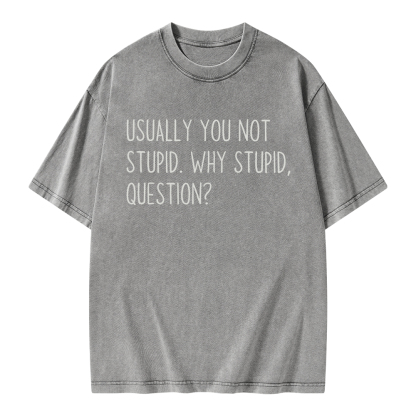 Pagewings Why Stupid Question Unisex Washed T-shirt