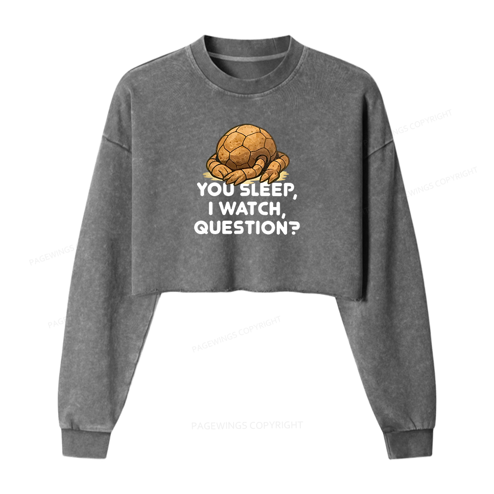 Pagewings You Sleep I Watch Washed Crop Sweatshirt