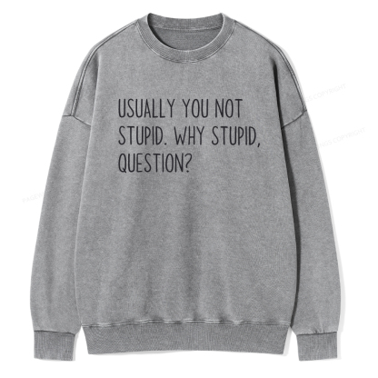 Pagewings Why Stupid Question Unisex Washed Sweatshirt
