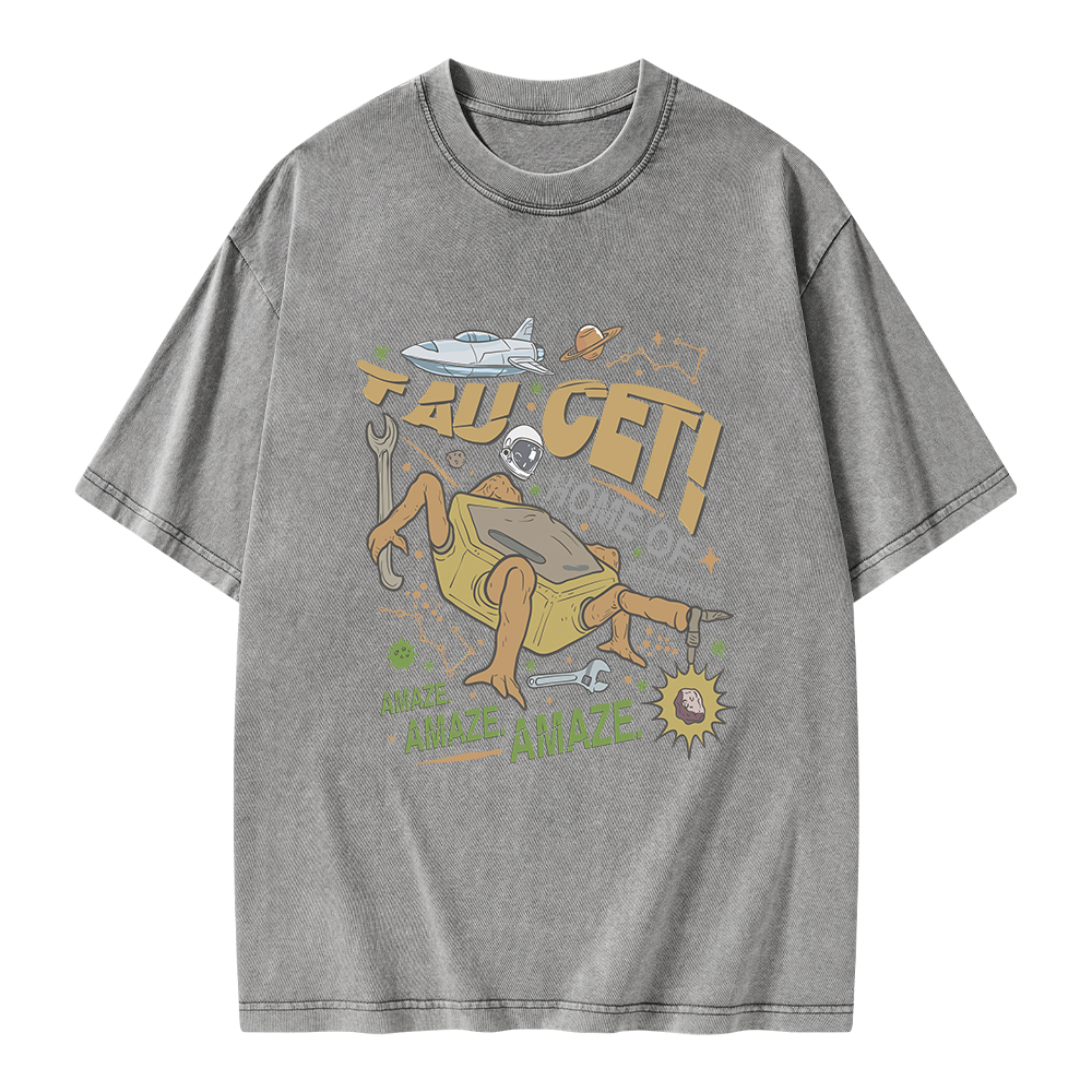 Pagewings Rocky Bookish Unisex Washed T-shirt