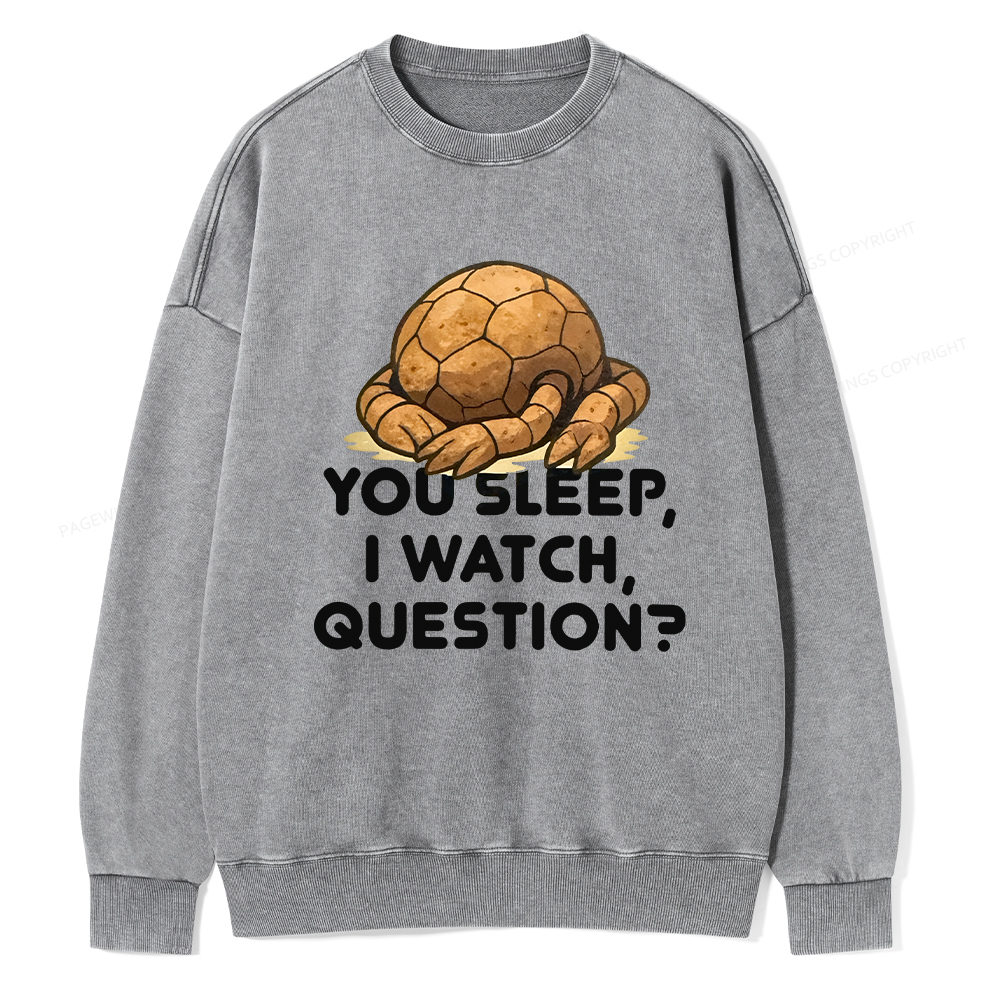Pagewings You Sleep I Watch Question Unisex Washed Sweatshirt