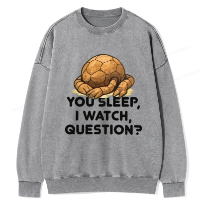 Pagewings You Sleep I Watch Question Unisex Washed Sweatshirt