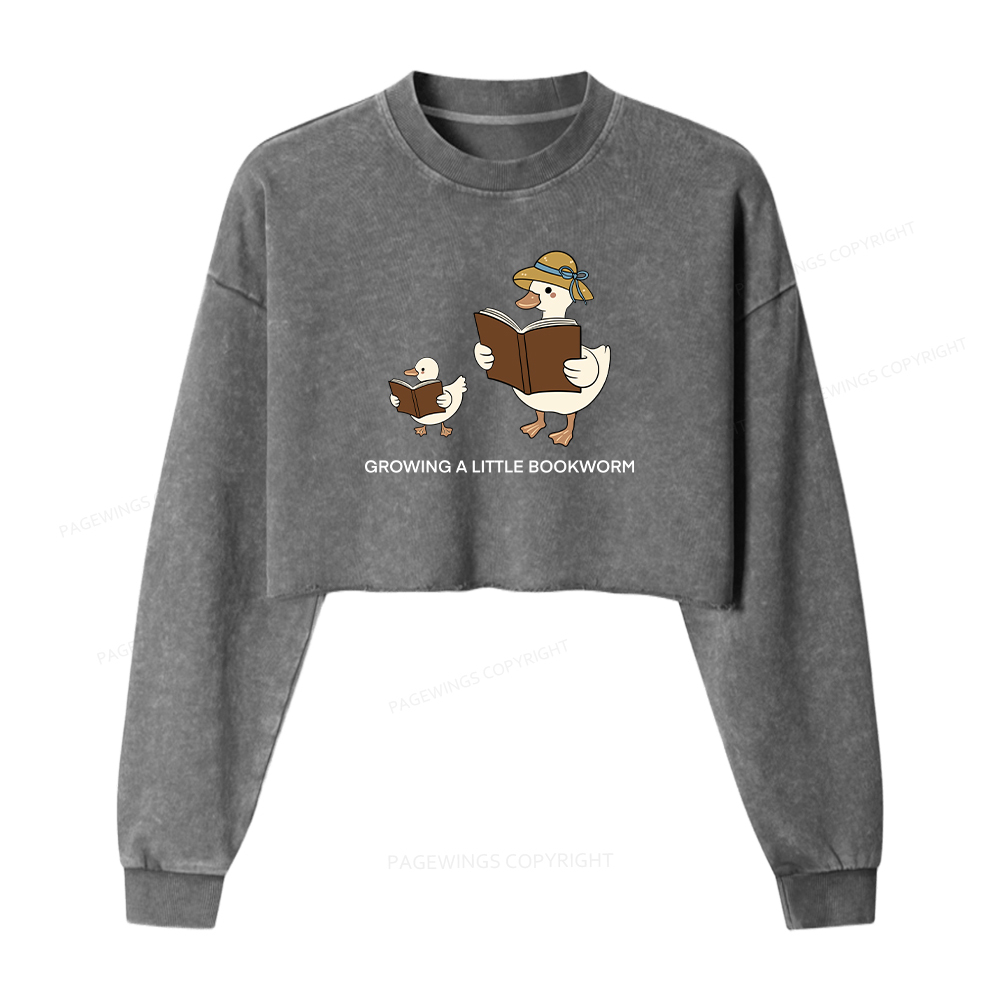 Pagewings Growing A Little Bookworm Washed Crop Sweatshirt
