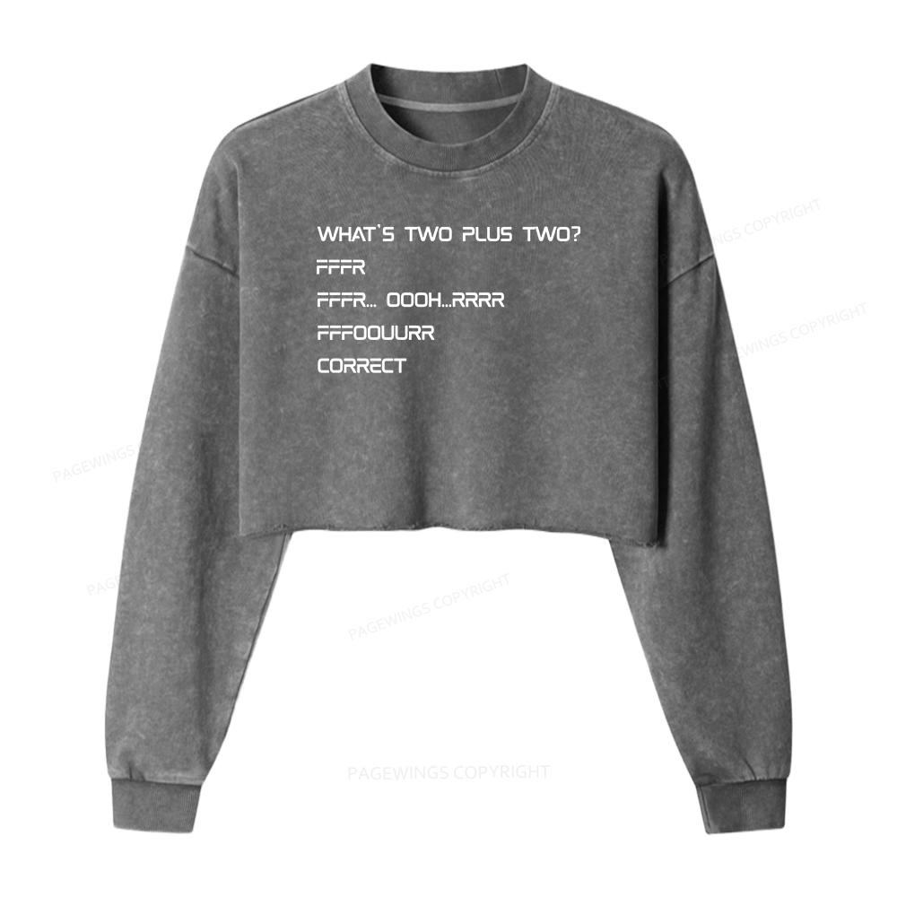 Pagewings What’s Two Plus Two Washed Crop Sweatshirt