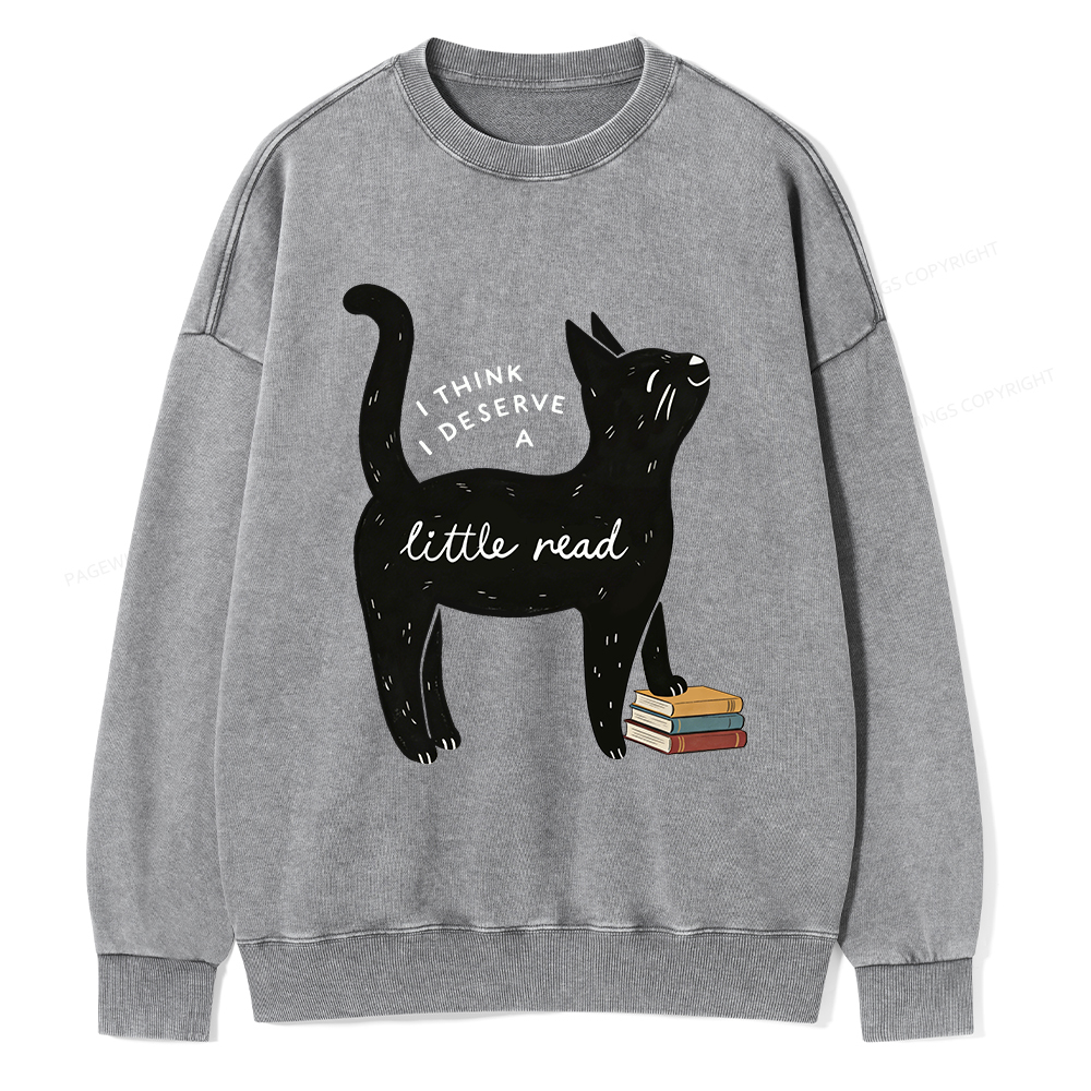 Pagewings Little Read Unisex Washed Sweatshirt