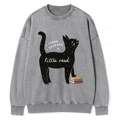Pagewings Little Read Unisex Washed Sweatshirt