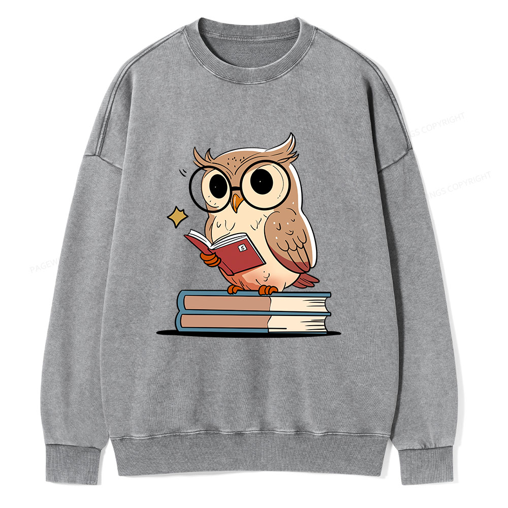 Pagewings The Owl Reader Unisex Washed Sweatshirt