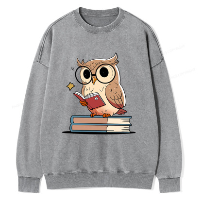 Pagewings The Owl Reader Unisex Washed Sweatshirt