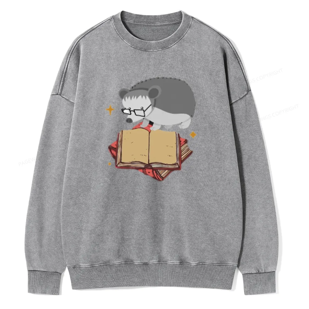 Pagewing Fun Hedgehog Is Reading Unisex Washed Sweatshirt