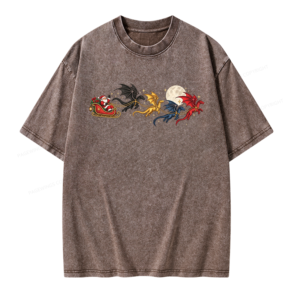Pagewings Dragon Rider Book Fan Unisex Washed T-shirt