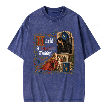 Pagewings Funny Medieval Romantasy Unisex Washed T-shirt